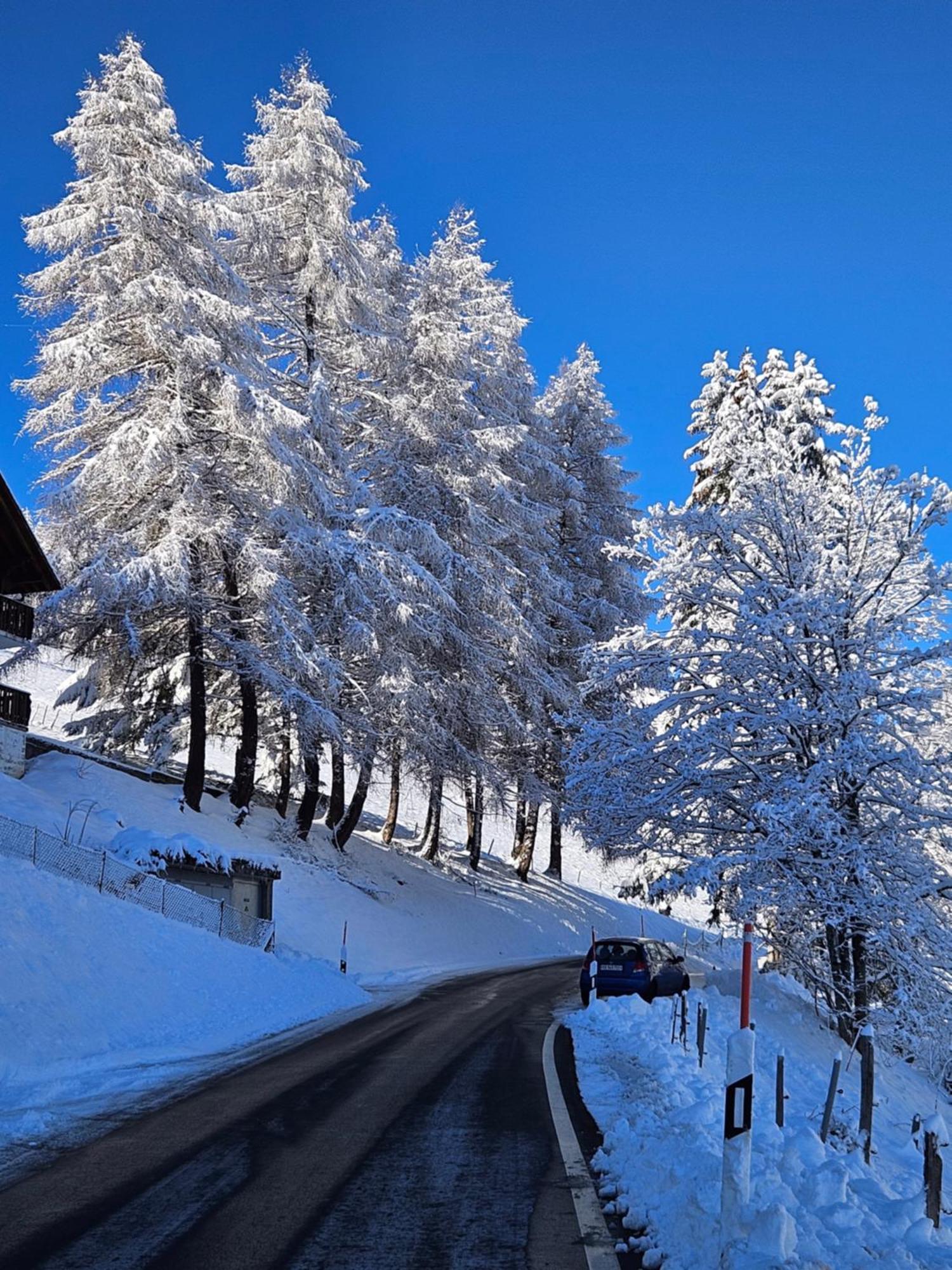 Sweet & Cosy Chalet In The Heart Of The Swiss Alps Troistorrents Eksteriør billede